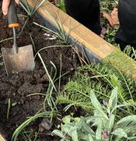 Gardening in Chipstead Cheshire Home